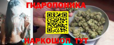 бошки Будённовск