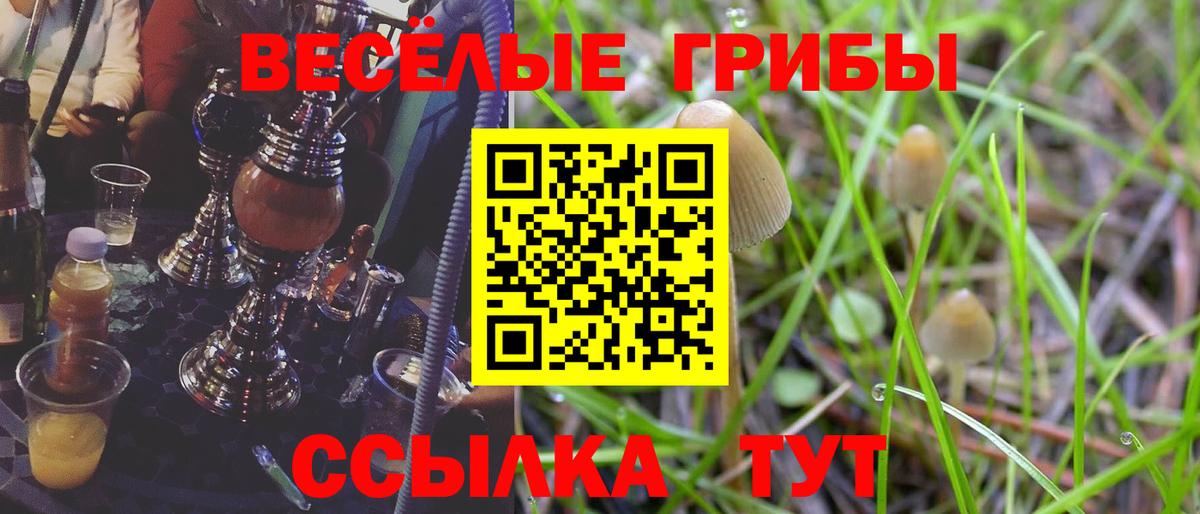 Подольск  Псилоцибиновые грибы Cubensis  Вход с VPN  Псилоцибиновые грибы прущие грибы 